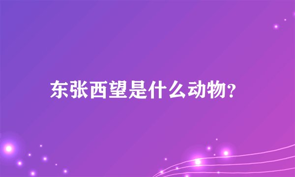 东张西望是什么动物？