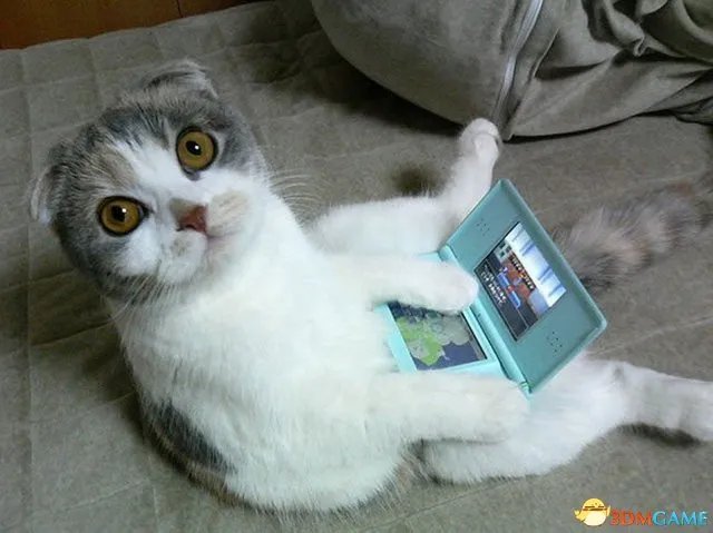 任天堂再也不忍了! 已破解的3DS遭到大规模封禁