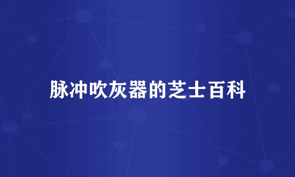 脉冲吹灰器的芝士百科