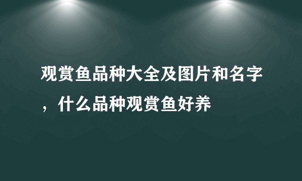 观赏鱼品种大全及图片和名字，什么品种观赏鱼好养
