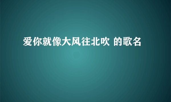 爱你就像大风往北吹 的歌名