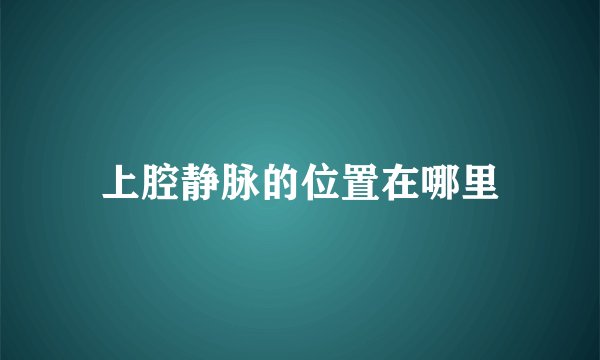 上腔静脉的位置在哪里