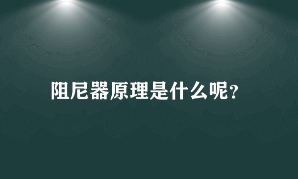 阻尼器原理是什么呢?
