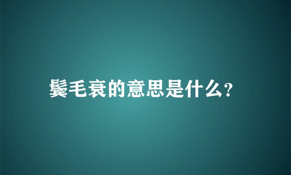 鬓毛衰的意思是什么？