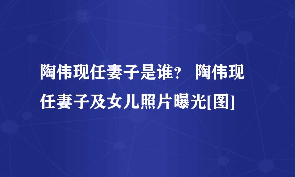 陶伟现任妻子是谁？ 陶伟现任妻子及女儿照片曝光[图]