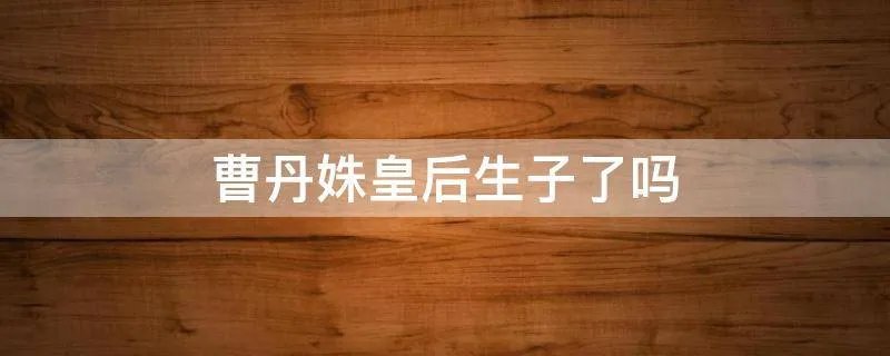 曹丹姝皇后生子了吗