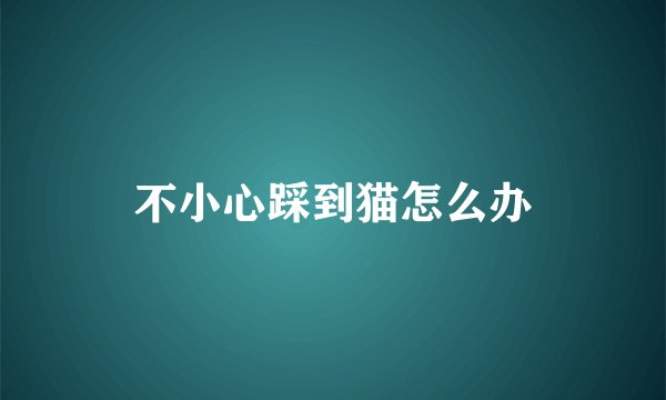 不小心踩到猫怎么办