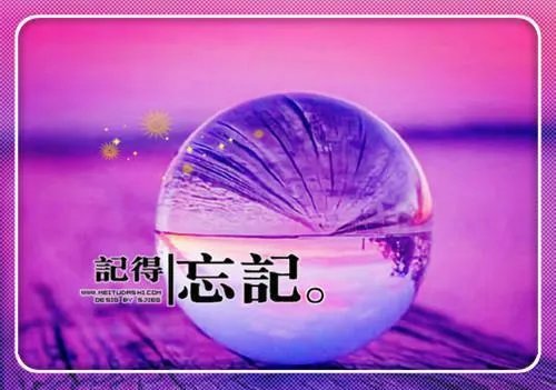 兔和猫小说(夏晚枝傅霁清)小说在线阅读_兔和猫小说全文免费阅读