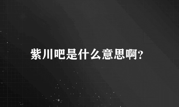 紫川吧是什么意思啊？