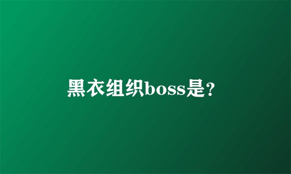 黑衣组织boss是？