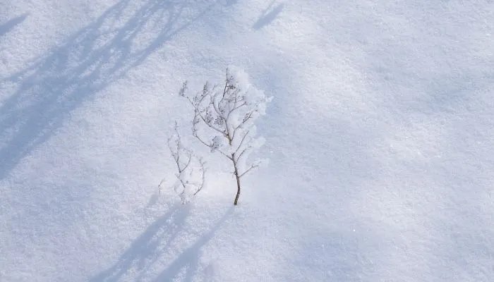 天气转凉的关心问候语短信 天气变冷短信问候语简短最新