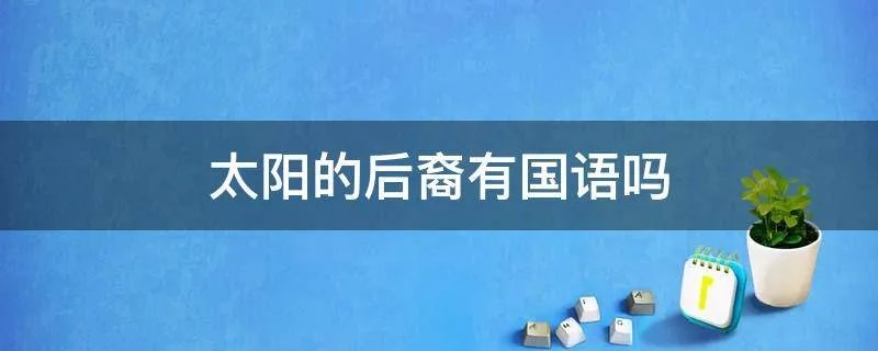 太阳的后裔有国语吗