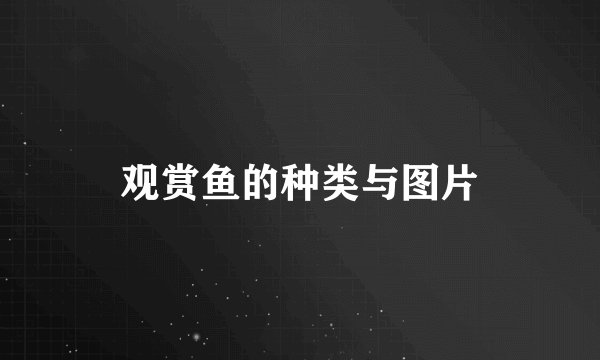 观赏鱼的种类与图片