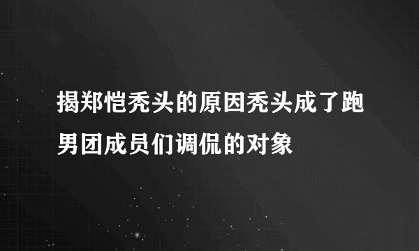 揭郑恺秃头的原因秃头成了跑男团成员们调侃的对象