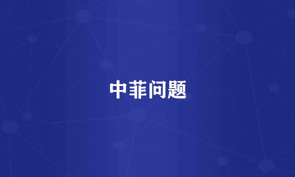 中菲问题