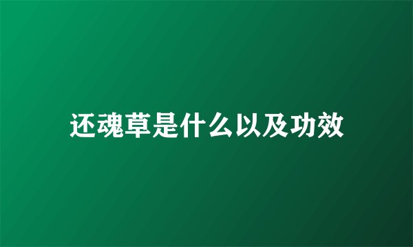 还魂草是什么以及功效
