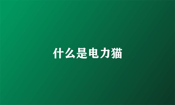什么是电力猫