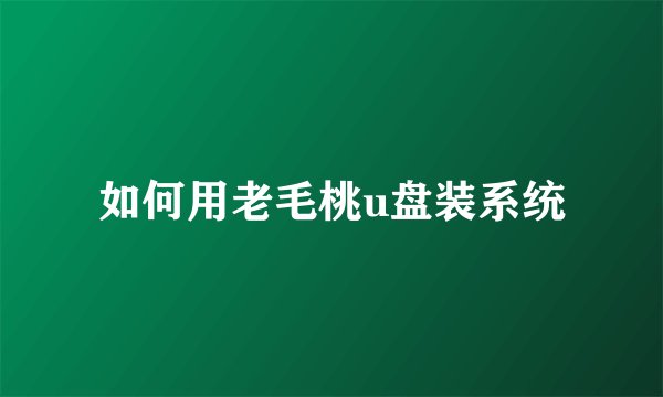 如何用老毛桃u盘装系统