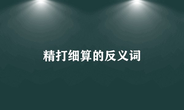 精打细算的反义词