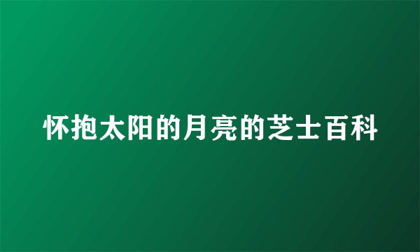 怀抱太阳的月亮的芝士百科
