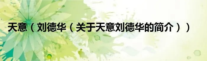 天意（刘德华（关于天意刘德华的简介））