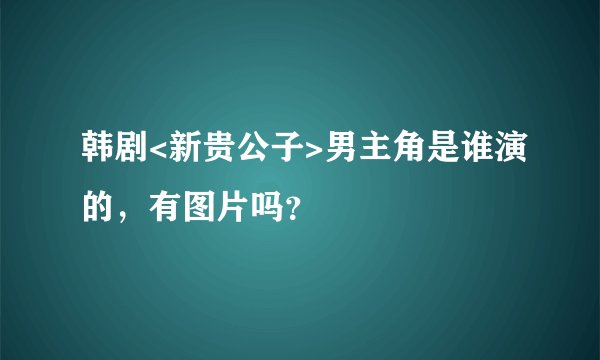 韩剧<新贵公子>男主角是谁演的，有图片吗？