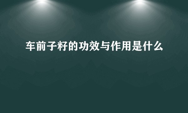 车前子籽的功效与作用是什么