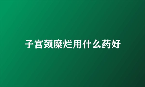 子宫颈糜烂用什么药好