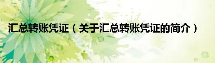汇总转账凭证（关于汇总转账凭证的简介）