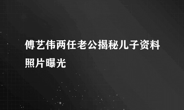 傅艺伟两任老公揭秘儿子资料照片曝光