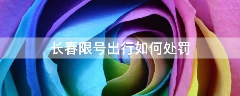 长春限号出行如何处罚