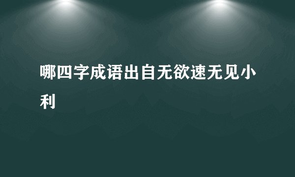 哪四字成语出自无欲速无见小利