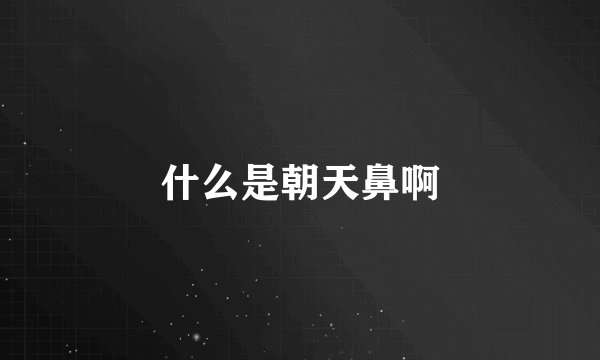 什么是朝天鼻啊