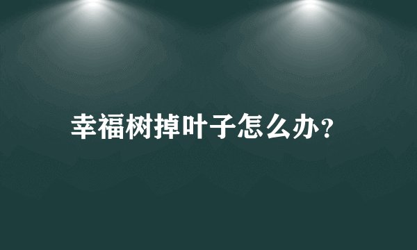 幸福树掉叶子怎么办？