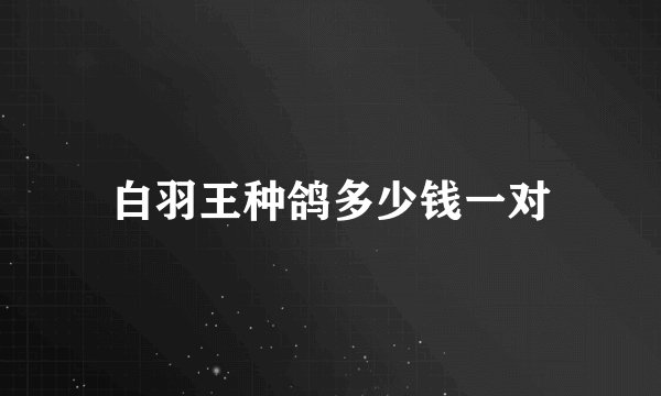 白羽王种鸽多少钱一对