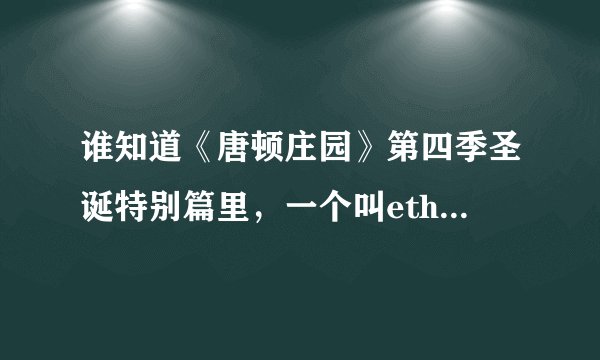 谁知道《唐顿庄园》第四季圣诞特别篇里，一个叫ethan slade的仆人的真实名字?是美国莱文森先