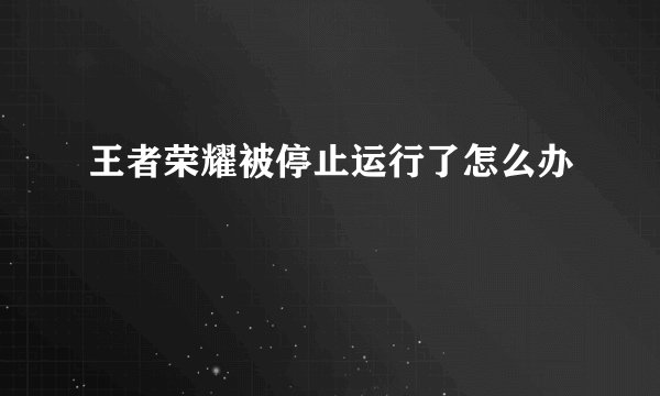 王者荣耀被停止运行了怎么办