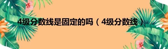 4级分数线是固定的吗（4级分数线）