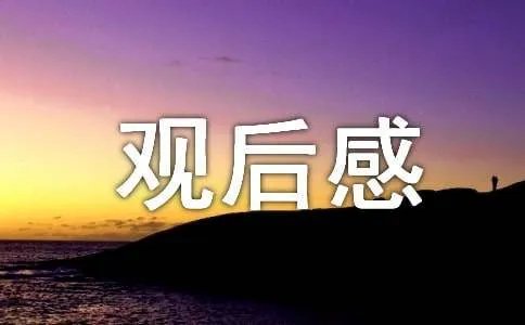 柳月弯弯观后感