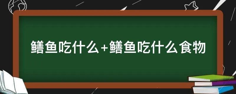 鳝鱼吃什么