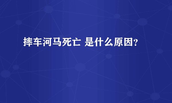摔车河马死亡 是什么原因？