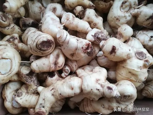 野生药材一定比种植药材好吗？