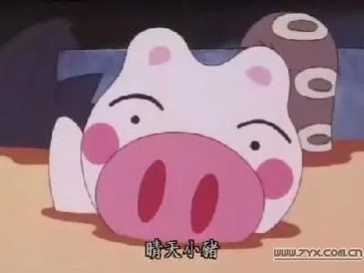 晴天小猪图片