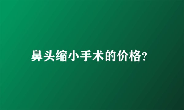 鼻头缩小手术的价格？