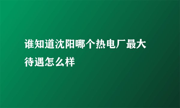 谁知道沈阳哪个热电厂最大 待遇怎么样