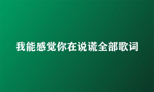 我能感觉你在说谎全部歌词
