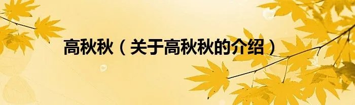 高秋秋（关于高秋秋的介绍）