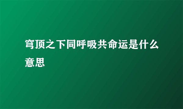 穹顶之下同呼吸共命运是什么意思