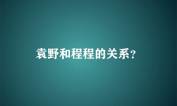 袁野和程程的关系？