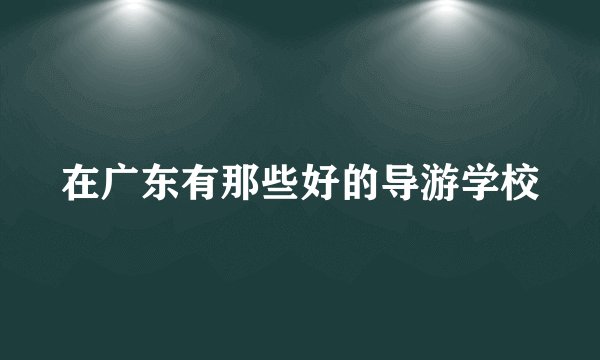 在广东有那些好的导游学校